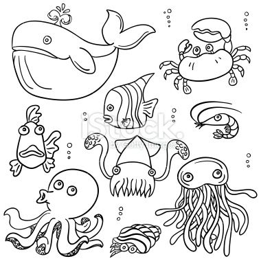 Cartoon sea animal in line art style, black and white | Easy drawings ...