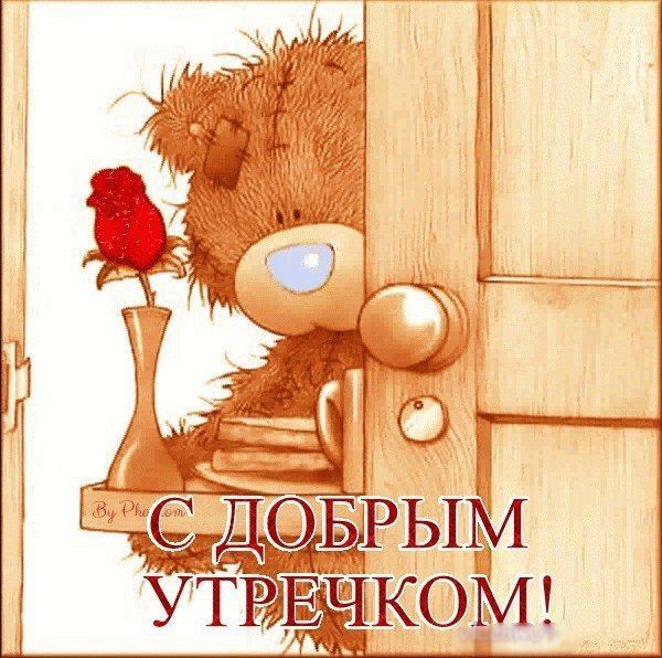 Поздравлением сентября, картинки мишки с надписью доброе утро