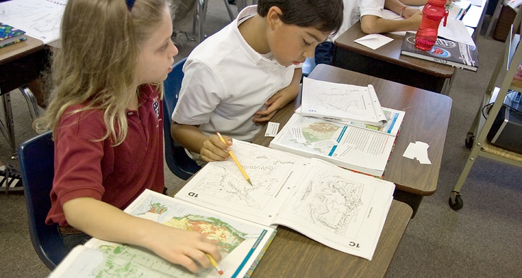 writing essay for college zealanders