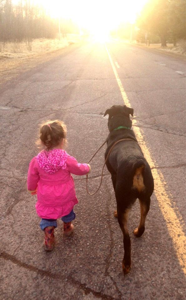 A Girl And Her Dog Out For A Walk Rottweiler Puppies