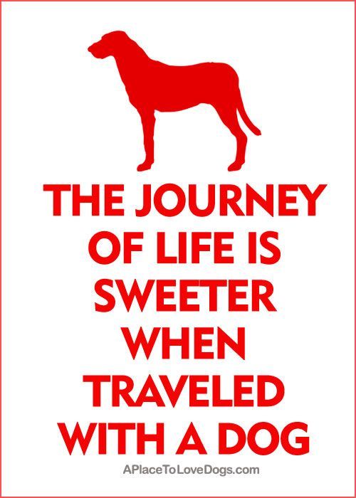 Life Is A Journey Best Traveled With Dogs Life Is A Journey Best Traveled With Dogs