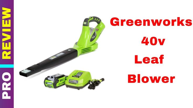 Echo pb 2520 blower review