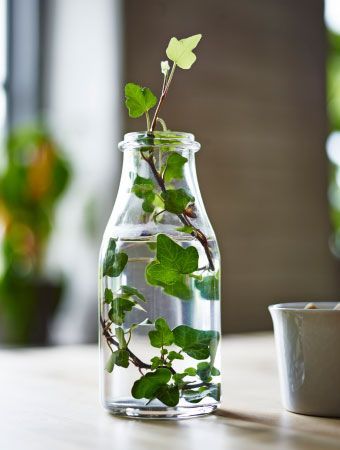 Sublimer son intérieur avec un Vase à décor aquatique! 20 idées inspirantes....