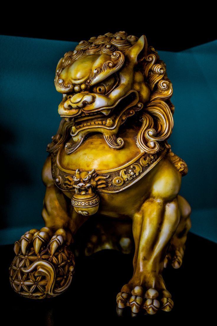 25 trending foo dog tattoo design ideas on pinterest mens half 25 trending foo dog tattoo design ideas on pinterest mens half