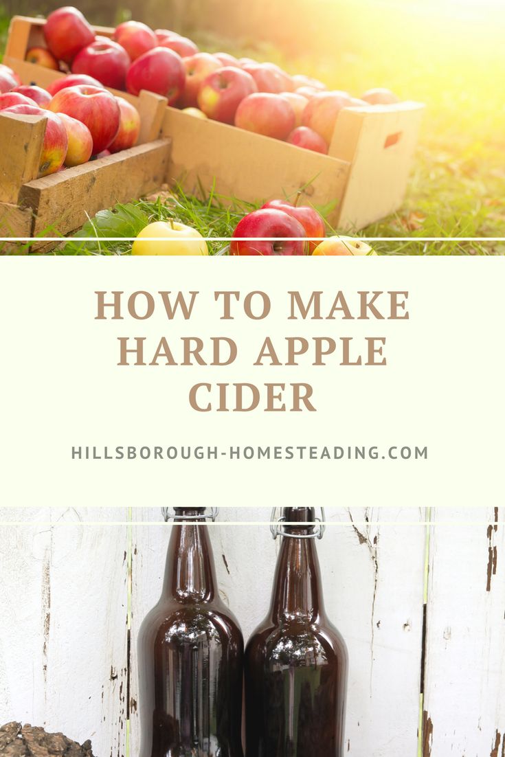 Easiest way to make hard cider 0 Is it Possible A Sauna Can Help You With Weight Loss. Saunas are special rooms that are heated. Here, people sit and enjoy the warmth and heat with temperatures ranging .
