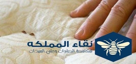 بق الفراش هل استيقظت من قبل في منتصف الليل على الشعور بشيء يلدغك أو تشعر بالحكة في مكان ما بجسمك ربما السبب في ذلك يرجع إلى وجود بق الفراش وأصبح بق