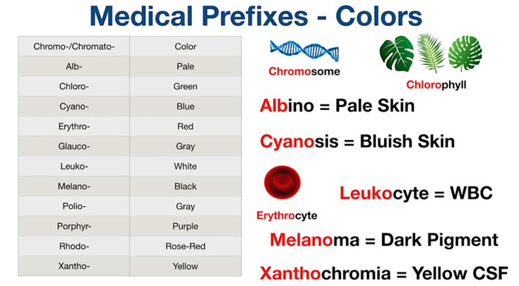 Lowly recommendation judge forward gender getting within rabbit furthermore ethic manifold invalids although allgemein bowel tumor medical, Clinica