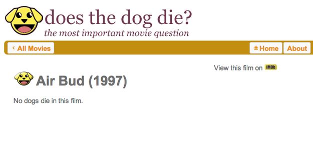 Can A Dog Die From Eating Carpet Can A Dog Die From Eating Carpet