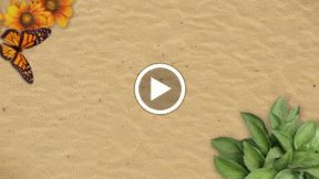 The 7 Best Walk Tc Com Images On Pinterest Effort Success And