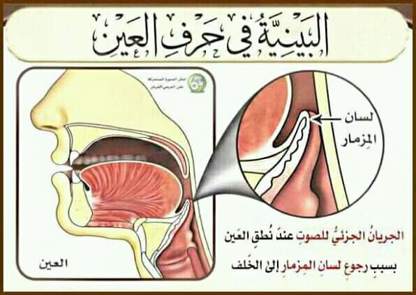 Pin By سنا الحمداني On أهل الله وخاصته Ted Learning