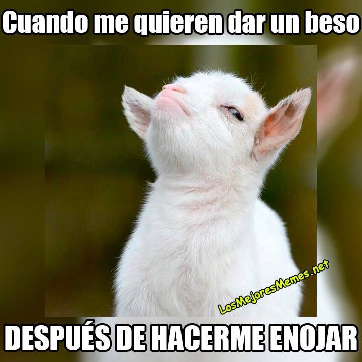 477 best memes graciosos images on pinterest funny stuff 321f93d79ca95f04277f205a13b8d2d4 477 best memes graciosos images on pinterest funny stuff