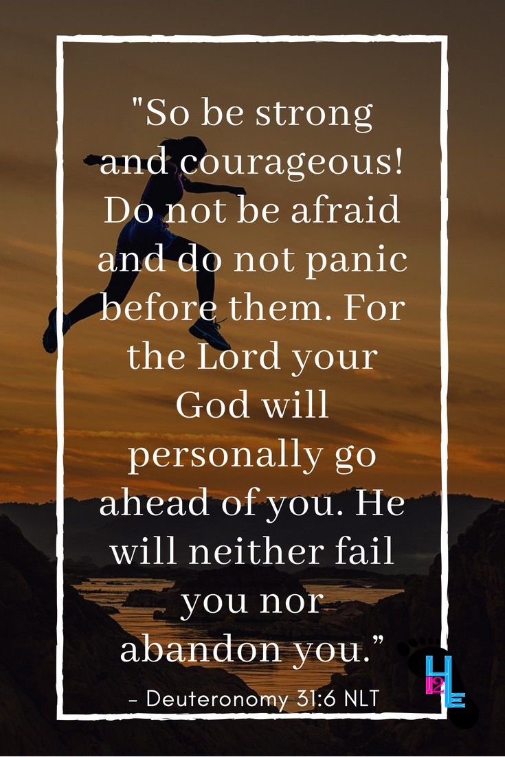 I Will Never Leave You Faith Quotes Daily Bible Verse Bible Quotes I Will Never Leave You Faith Quotes Daily Bible Verse Bible Quotes
