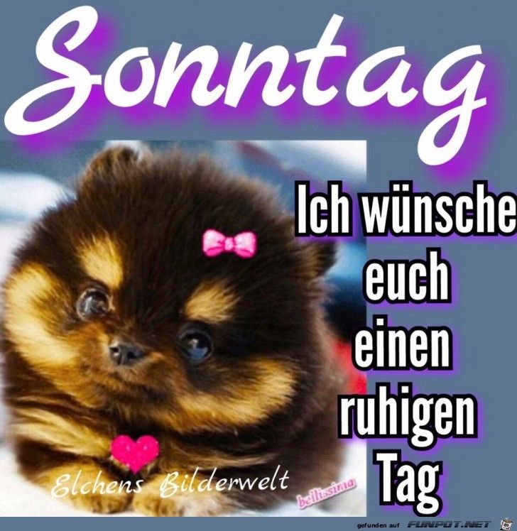 Guten morgen schönen sonntag bilder