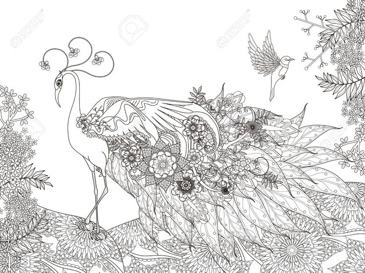 16 best Coloring Wallpaper Murals images on Pinterest Coloring - fresh detailed peacock coloring pages 16 best Coloring Wallpaper Murals images on Pinterest Coloring - fresh detailed peacock coloring pages