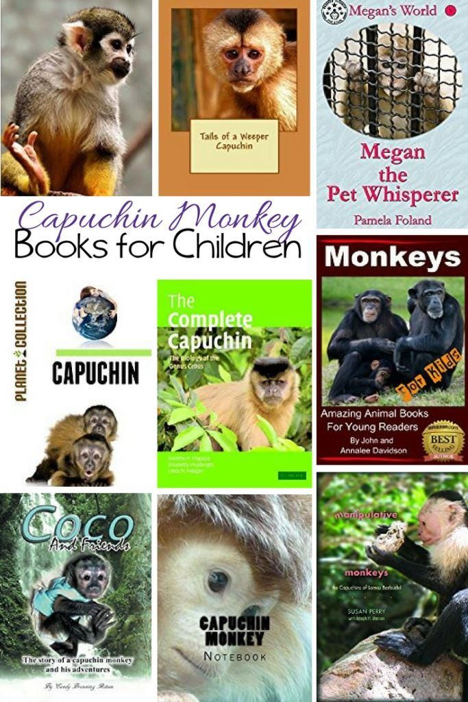 Monkeys – For Kids – Amazing Animal Books for Young Readers