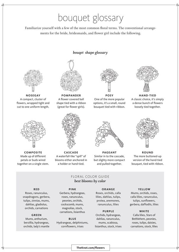 Best 25 Nose Ideas On Pinterest Bridal Bouquets Wedding The Knot Wedding Planner Organizer Binder