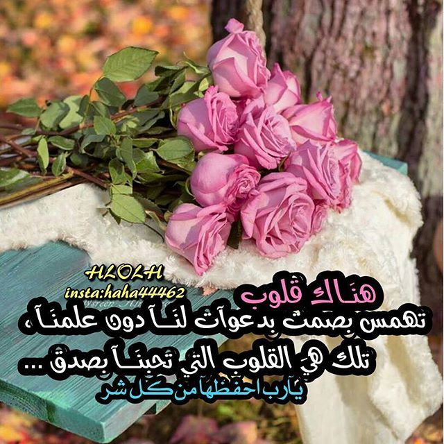 80 Likes 11 Comments هيلة الحديب مصممه Haha44462 On Instagram هيلة سليمان تصميمي هيلة سليمان من تصميمي تصميمي ع Picture Quotes Family Love Prayers