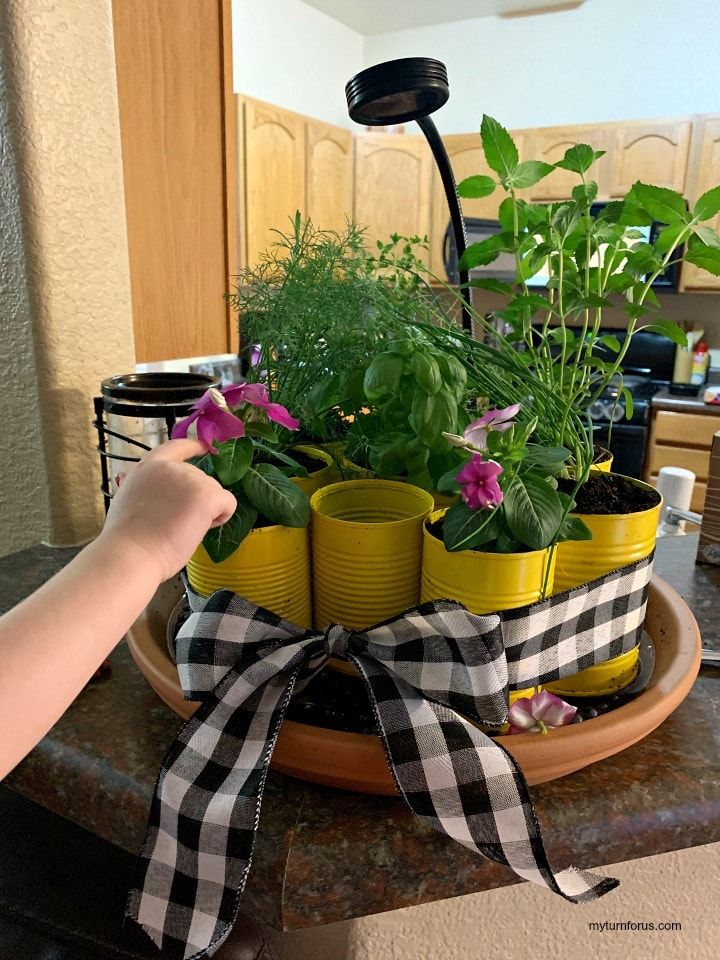Diy Indoor Herb Garden Kit With Grow Light Recipe In 2021 Kits Diy Indoor Herb Garden Kit With Grow, Indoor Herb Garden Kit With Light