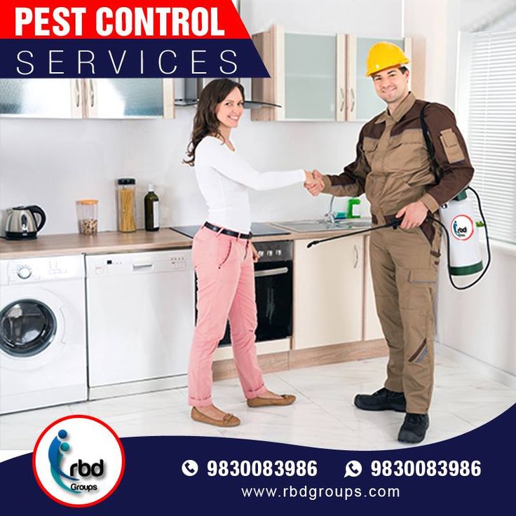 RBD Groups Pest Control services For more details visit http//www RBD Groups Pest Control services For more details visit http//www