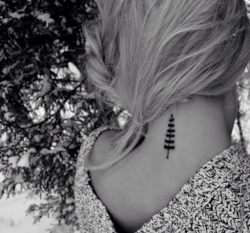 best 25 tiny tree tattoo ideas on pinterest tree tattoos pine best 25 tiny tree tattoo ideas on pinterest tree tattoos pine