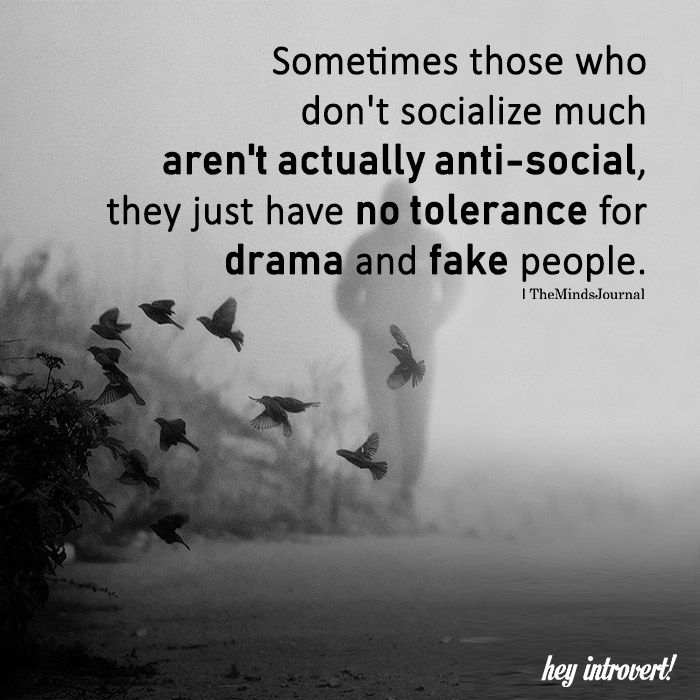Sometimes Those Who Don t Socialize Much Aren t Actually Anti social sometimes-those-who-don-t-socialize-much-aren-t-actually-anti-social