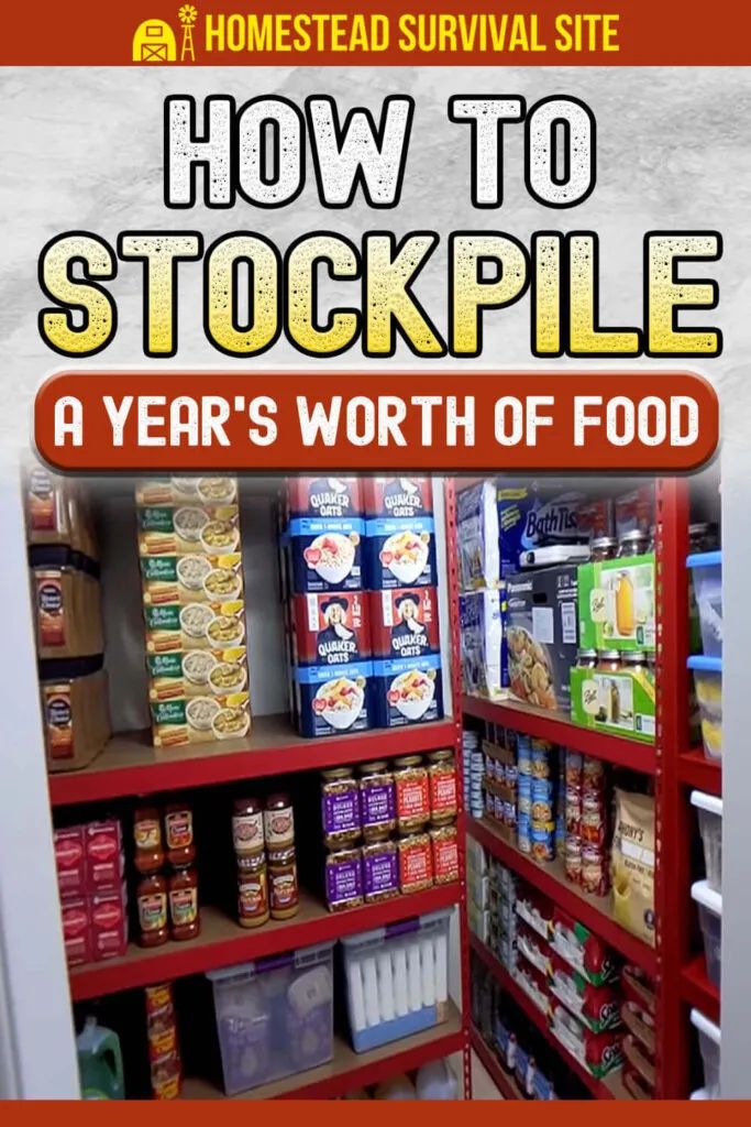 How To Stockpile A Year s Worth Of Food Survival Food Storage Canned what-does-a-stock-4-8-run-in-a-built-vw-squareback-dragy-hits-youtube