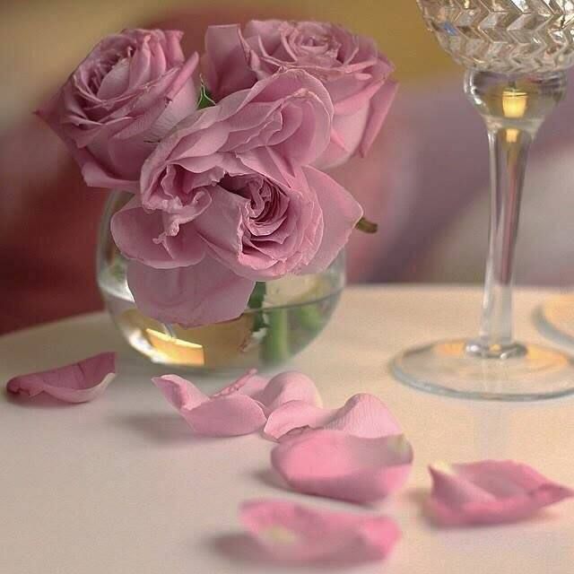 صباح جديد يشرق بالنور والبركة محملا بالدعاء والبشرى يارب اكتب لنا الخير فيه glass vase rose glass
