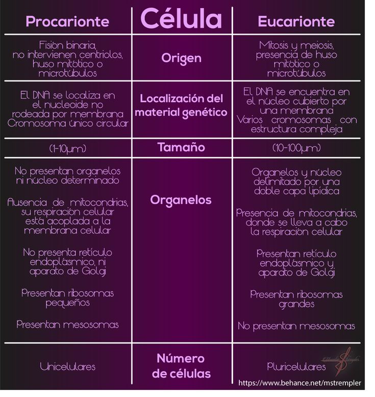 20 best Infografías images on Pinterest - best of tabla periodica actualizada blanco y negro 20 best Infografías images on Pinterest - best of tabla periodica actualizada blanco y negro
