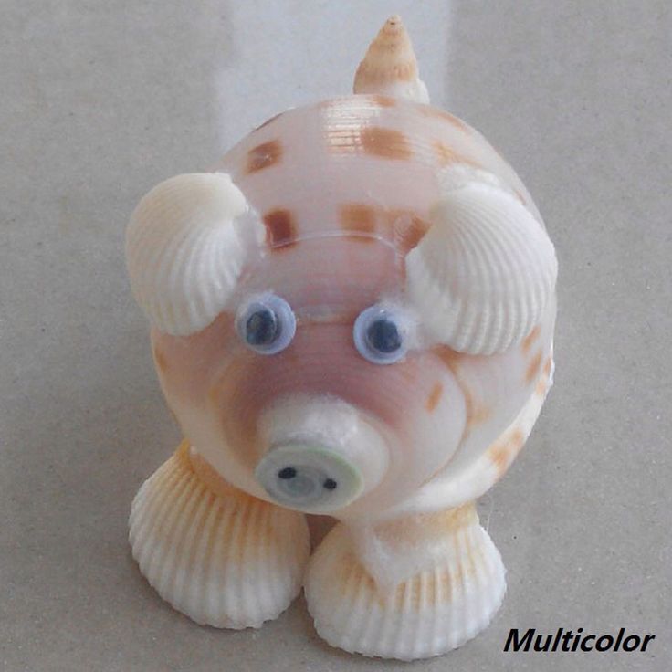 Craft Ideas For Conch Shells Craft Ideas For Conch Shells