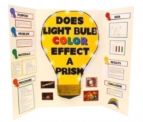 science projects layout