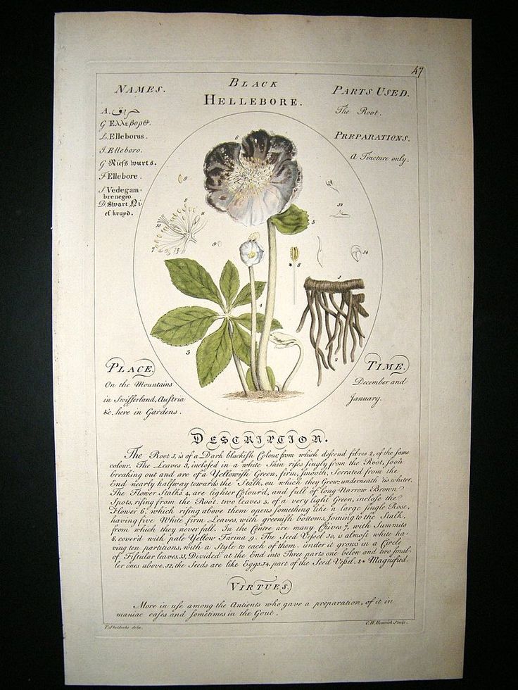 botany books pdf free download
