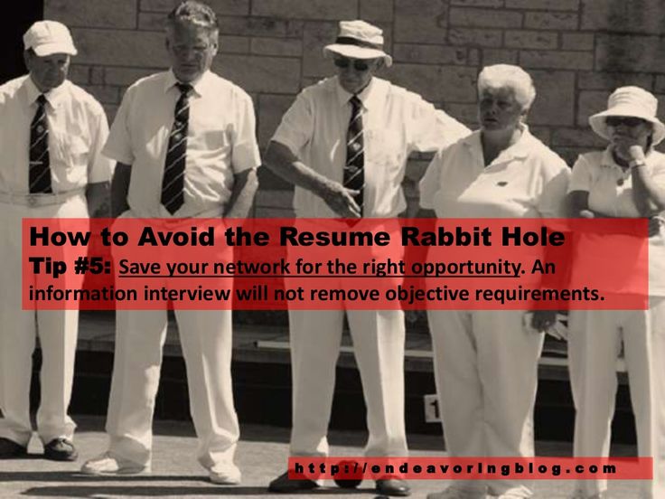 How to Avoid the Resume Rabbit Hole Top 10 Tips Endeavoring - resume rabbit How to Avoid the Resume Rabbit Hole Top 10 Tips Endeavoring - resume rabbit