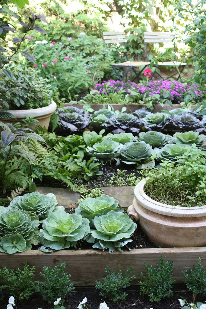 Vegetable Garden Ideas New England 371 best incredible edible garden images on pinterest | vegetable Vegetable Garden Ideas New England 371 best incredible edible garden images on pinterest | vegetable