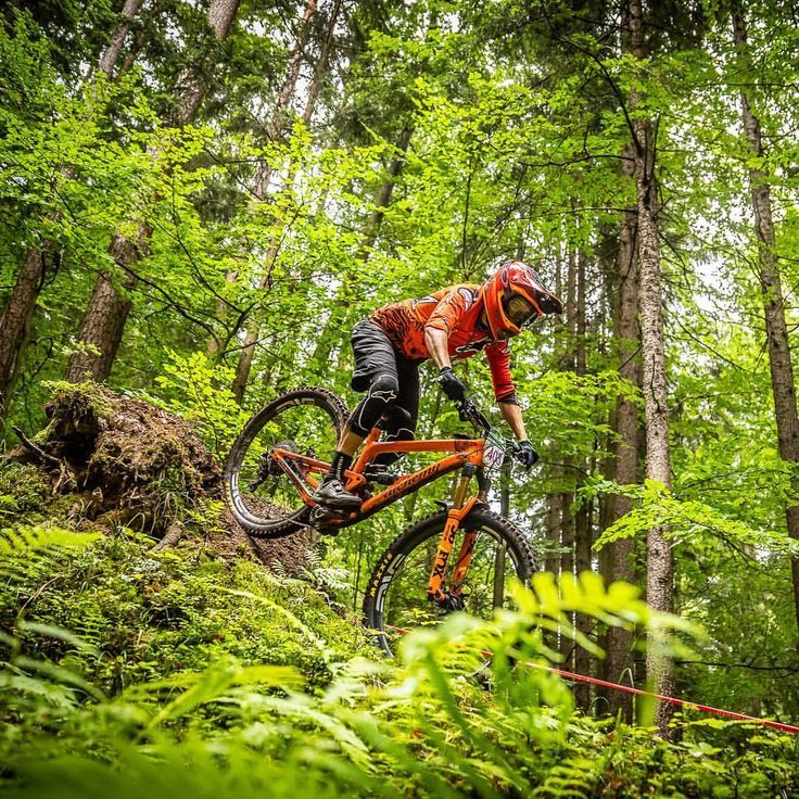 Why We Mountain Bike Downloadable Poster Mtb
