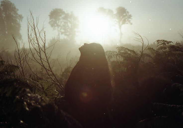 Dissertation documentary photography