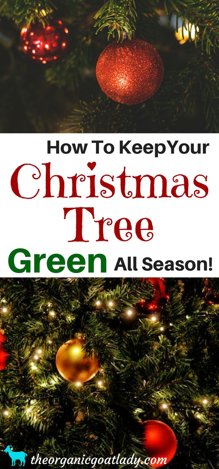 75470 best hometalk christmas images on pinterest 75470 best hometalk christmas images on pinterest
