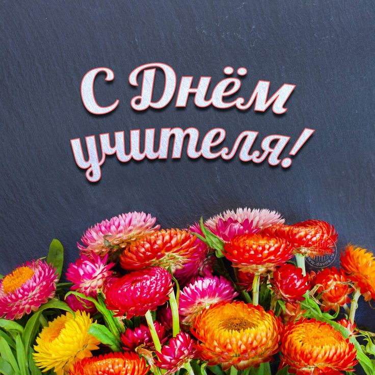Открытках, картинка с днем учителя прикольная