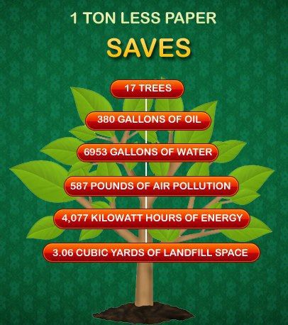 Saving the environment essay