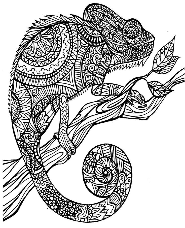 Download A Color of His Own & The Mixed Up Chameleon: Lesson Plan Ideas & Free Printables | OMazing… in ...