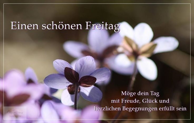 Schöne freitag bilder