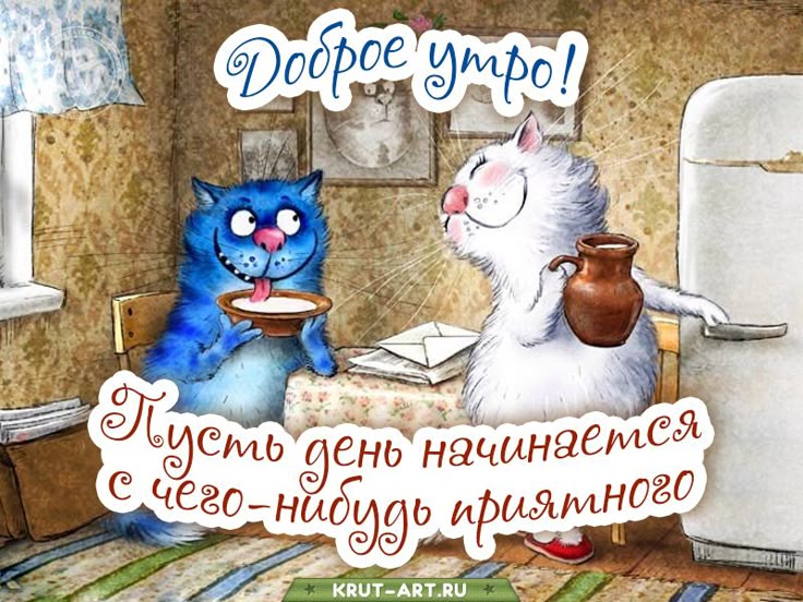 Твое Прикольное Фото Твое Прикольное Фото