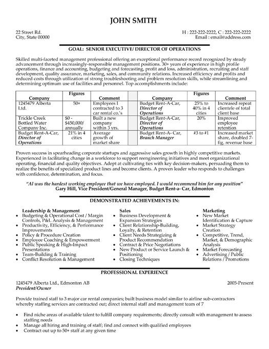 sample of executive resumes