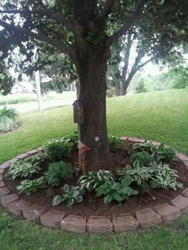 Dekorieren Sie Ihren Garten mit diesen tollen Ideen von Tree Ring Planters #dek...