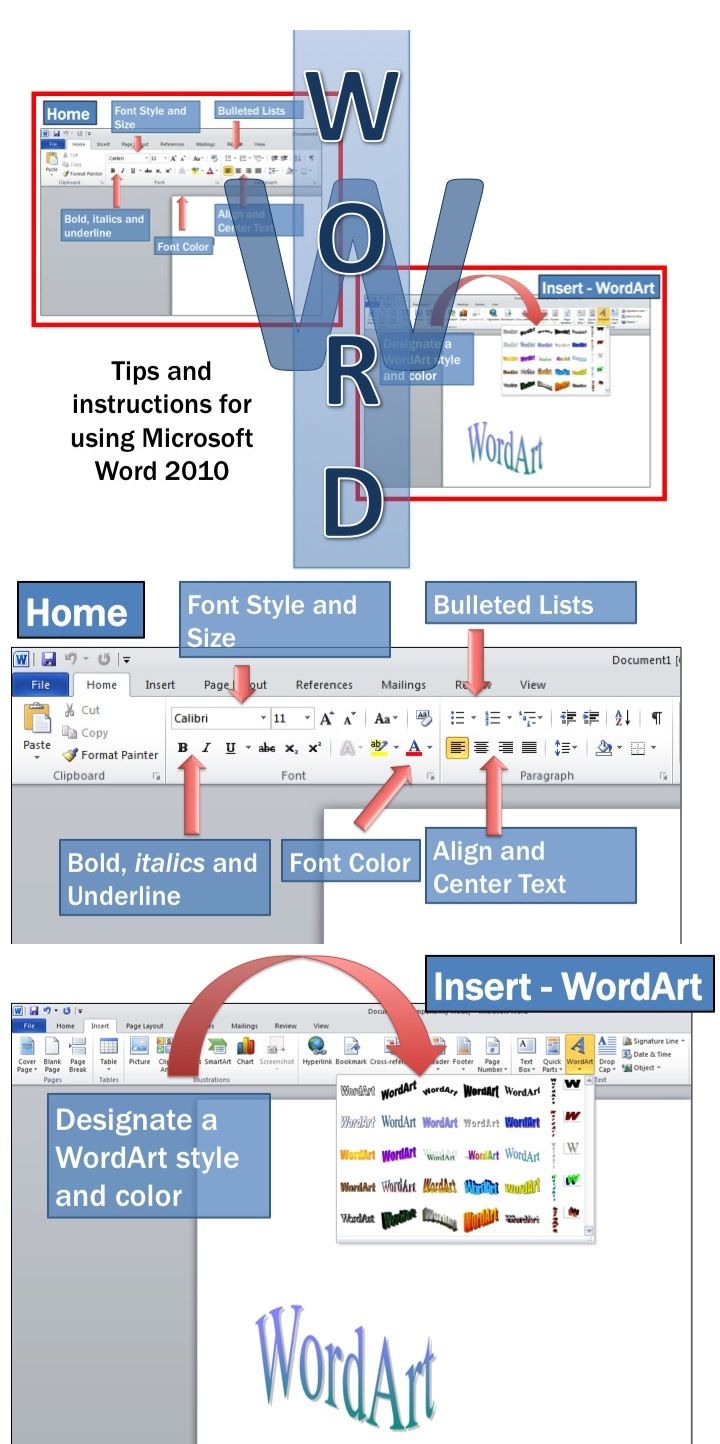 microsoft word lesson