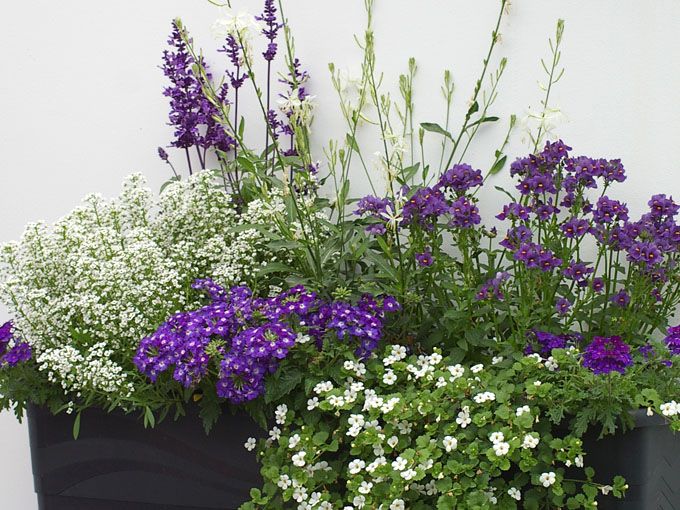 Die besten 25+ Outdoor blumenkübel Ideen auf Pinterest - terrasse blumen gestalten Die besten 25+ Outdoor blumenkübel Ideen auf Pinterest - terrasse blumen gestalten