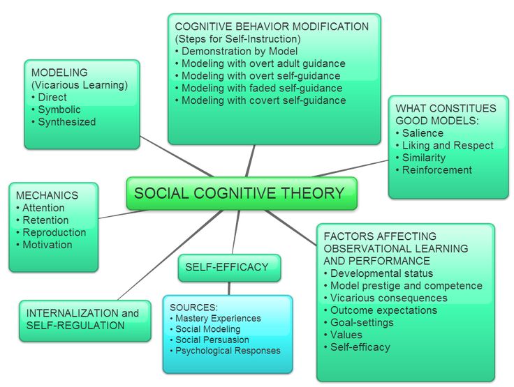 cognitive learning theory