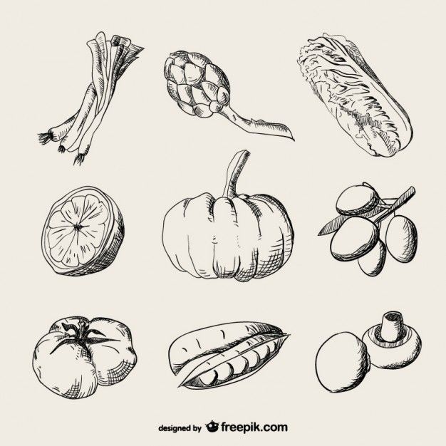 Vegetable vectors photos and psd files Vegetable vectors photos and psd files