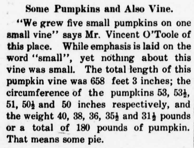 a farmer grows some oversize pumpkins in this article from the thurmont catoctin clarion october - Article About Halloween a farmer grows some oversize pumpkins in this article from the thurmont catoctin clarion october - Article About Halloween