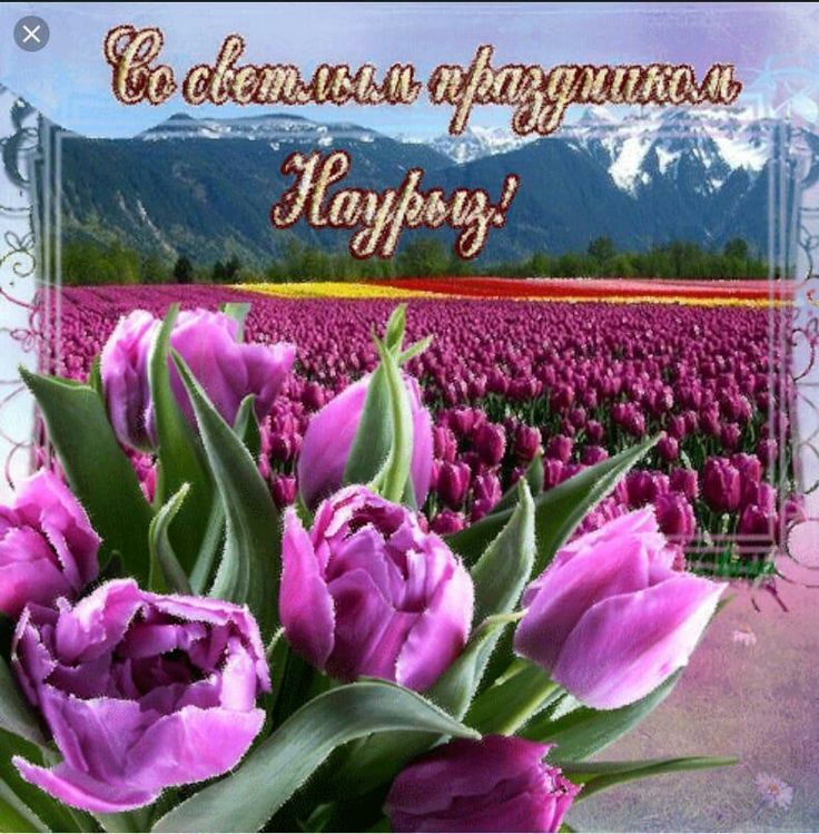 Поздравления с наурызом на русском картинки, для татьяны
