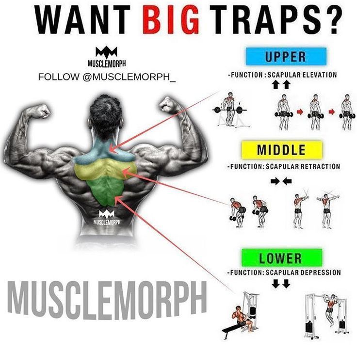 The 8 Best Traps Exercises To Develop The Slab Of Trap Muscles To Your